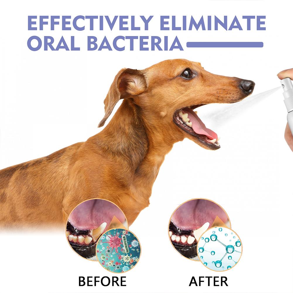 Spray de limpieza Oral para ma - Teeth Whitening Products reseña y precio